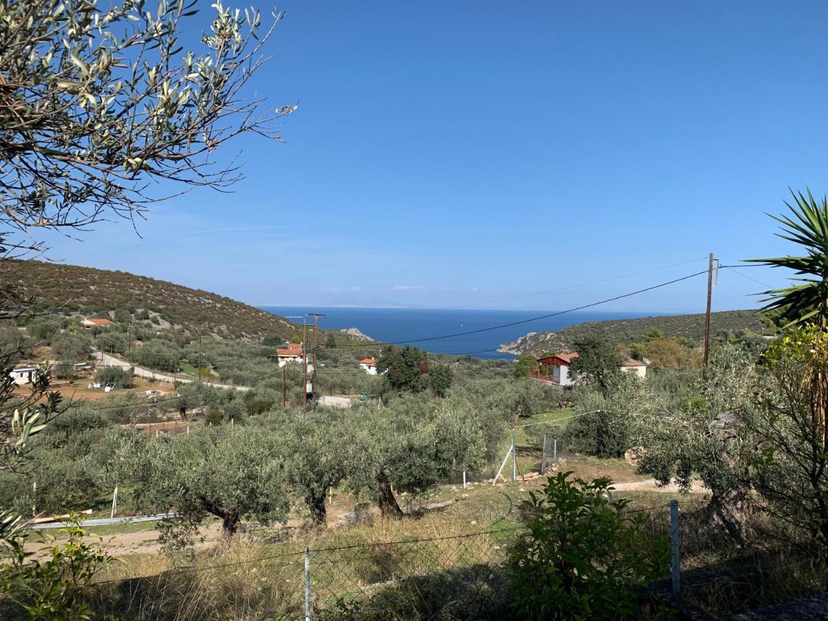 فيلا Olive Hill Private House Poros Town المظهر الخارجي الصورة