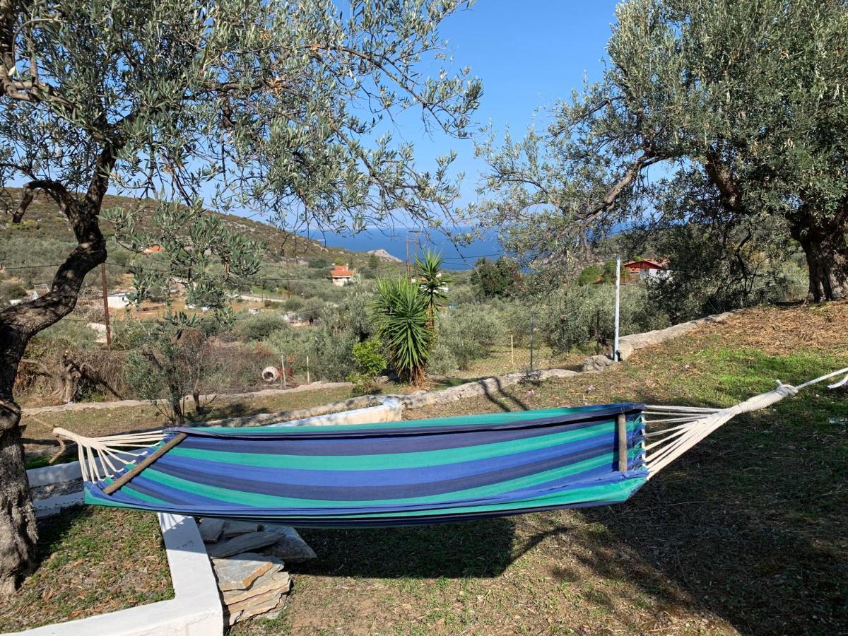 فيلا Olive Hill Private House Poros Town المظهر الخارجي الصورة