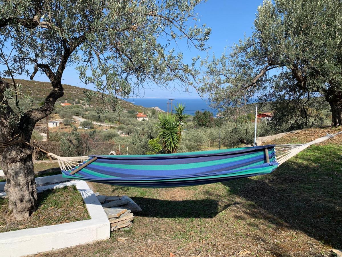 فيلا Olive Hill Private House Poros Town المظهر الخارجي الصورة
