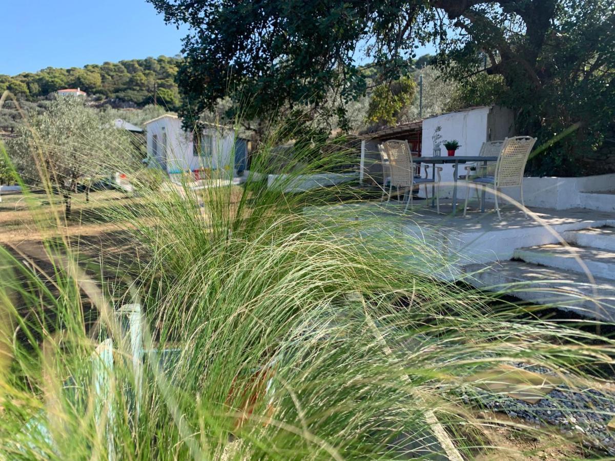 فيلا Olive Hill Private House Poros Town المظهر الخارجي الصورة