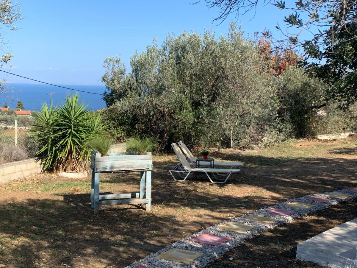 فيلا Olive Hill Private House Poros Town المظهر الخارجي الصورة