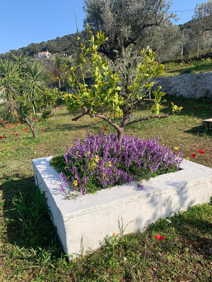 فيلا Olive Hill Private House Poros Town المظهر الخارجي الصورة