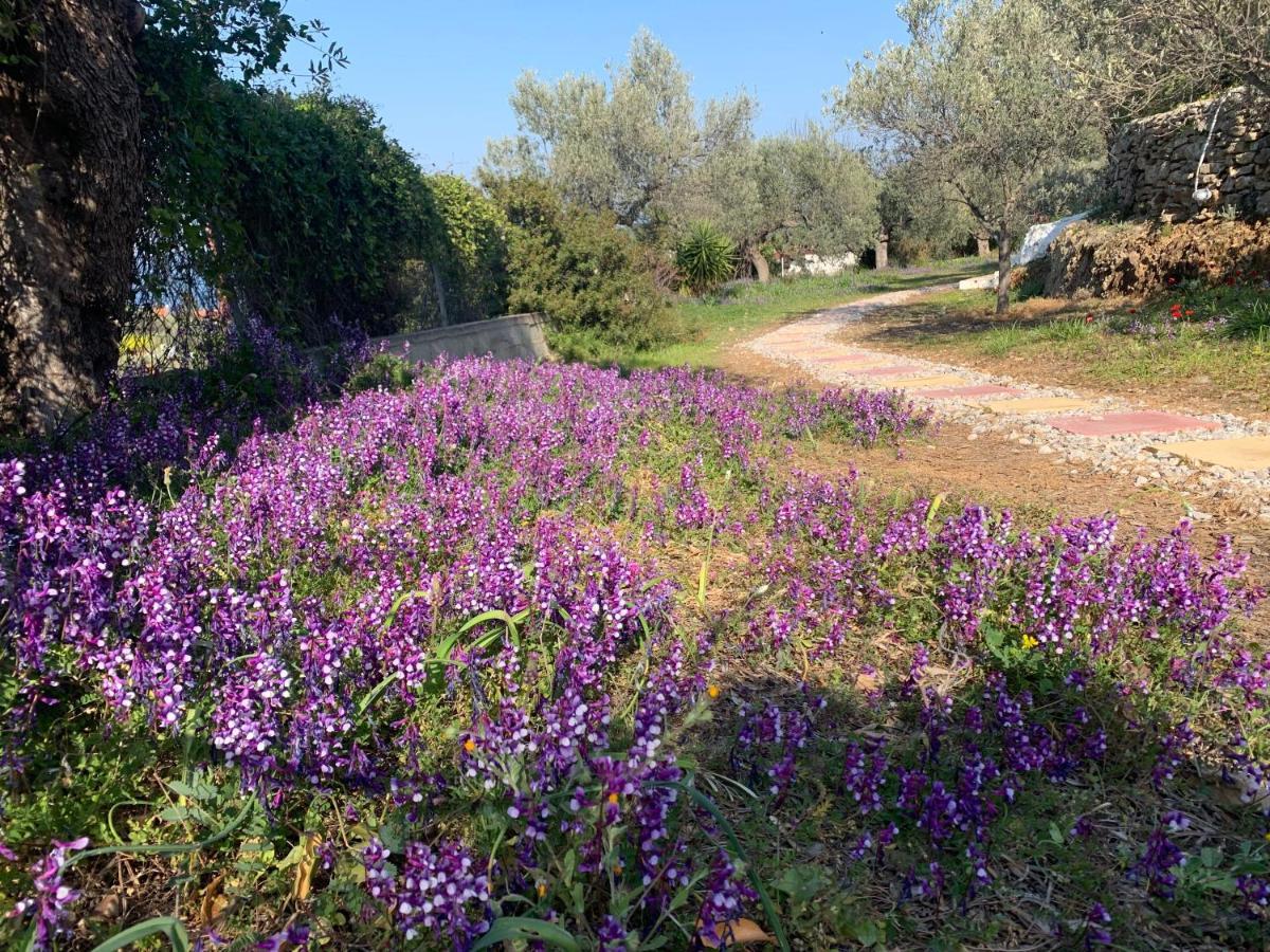 فيلا Olive Hill Private House Poros Town المظهر الخارجي الصورة