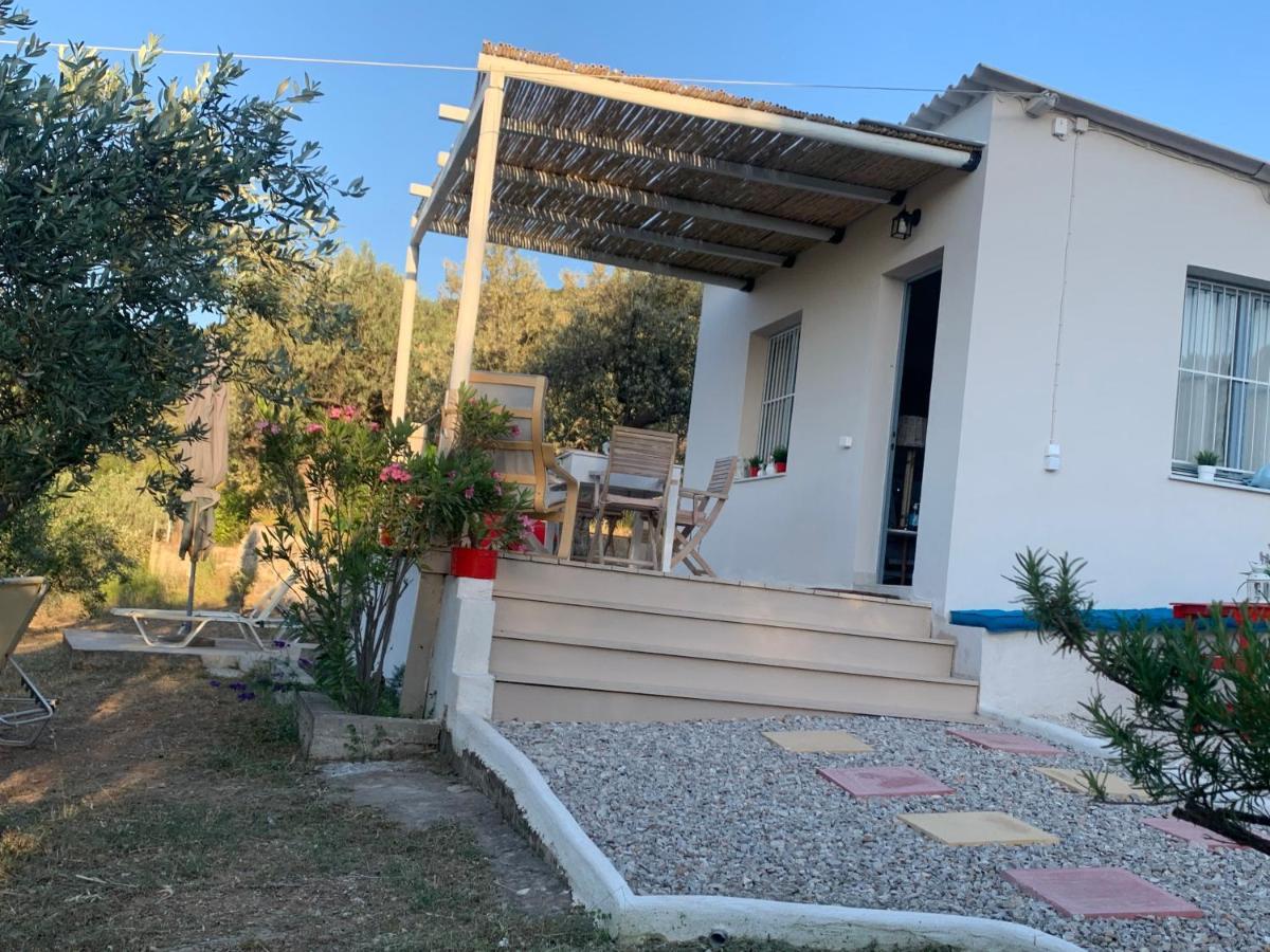 فيلا Olive Hill Private House Poros Town المظهر الخارجي الصورة